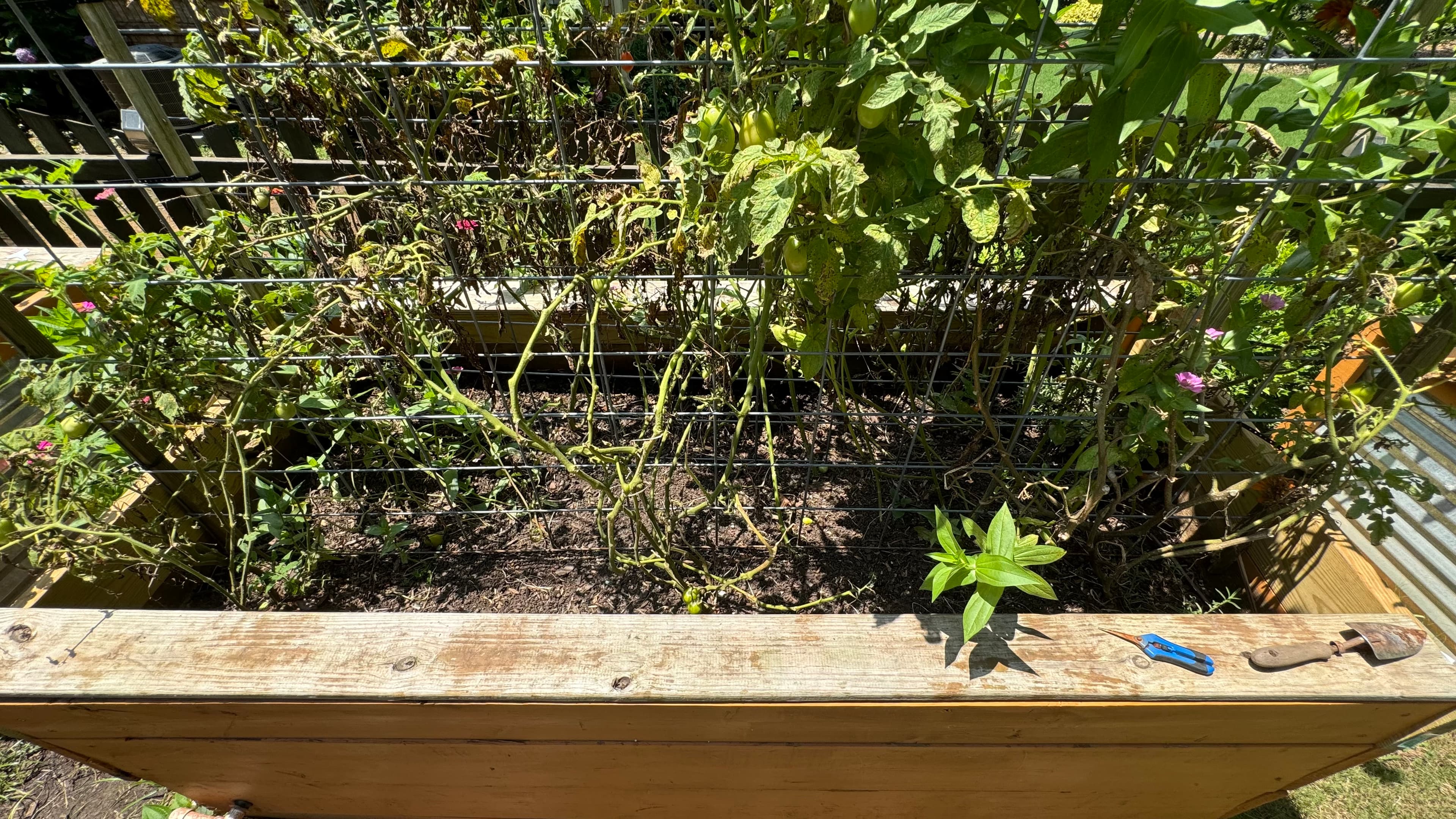 Raised garden bed at Wildwood Farms