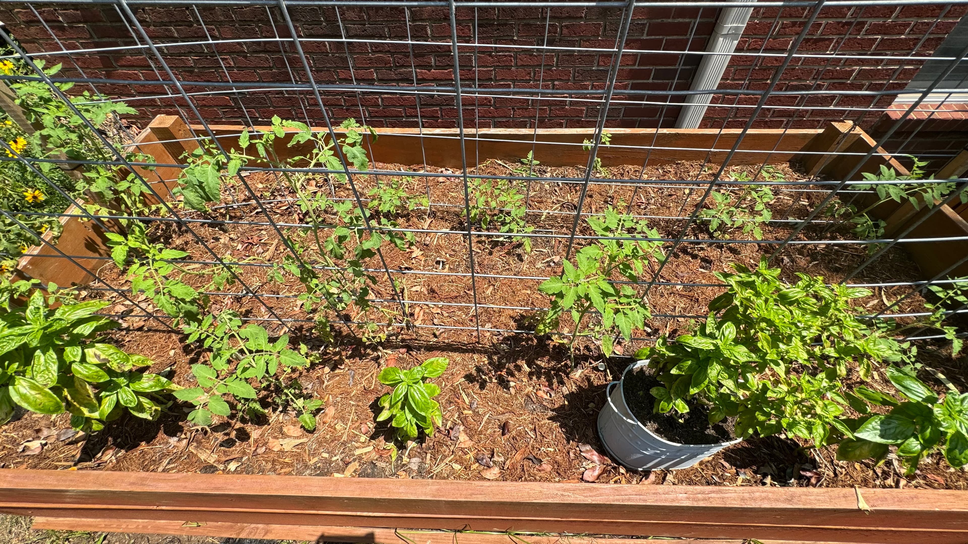 A raised garden bed in front of a brick wall